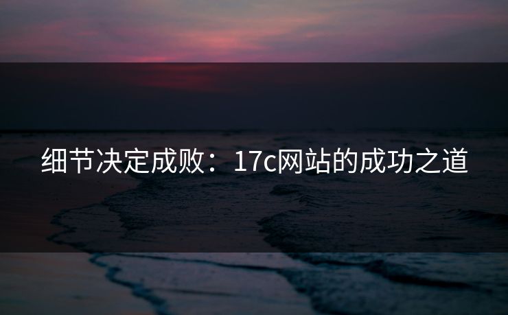 细节决定成败：17c网站的成功之道