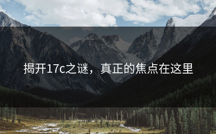 揭开17c之谜，真正的焦点在这里