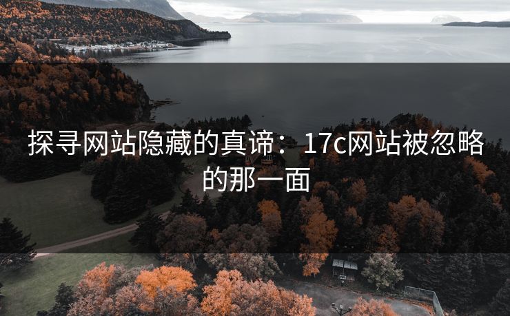 探寻网站隐藏的真谛：17c网站被忽略的那一面