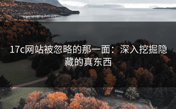 17c网站被忽略的那一面:深入挖掘隐藏的真东西 17c网站被忽略的那一面:深入挖掘隐藏的真东西