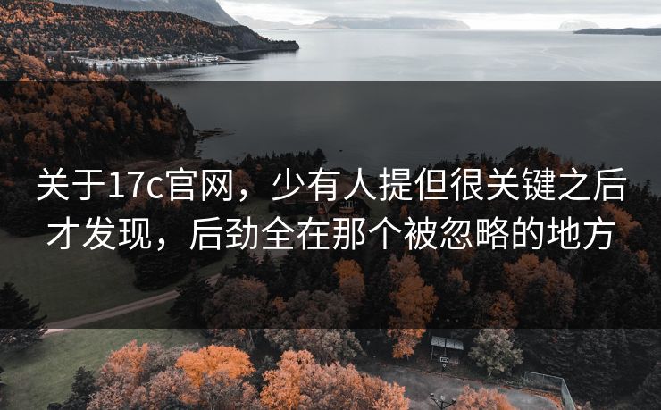 关于17c官网，少有人提但很关键之后才发现，后劲全在那个被忽略的地方