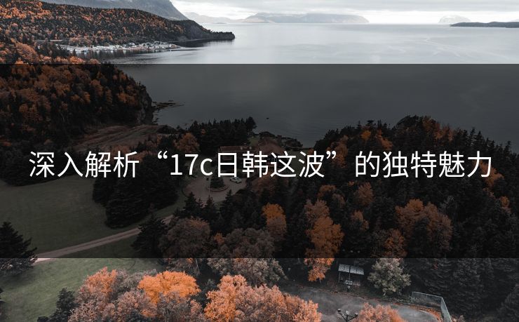 深入解析“17c日韩这波”的独特魅力