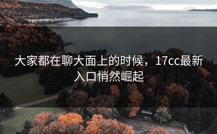 大家都在聊大面上的时候，17cc最新入口悄然崛起