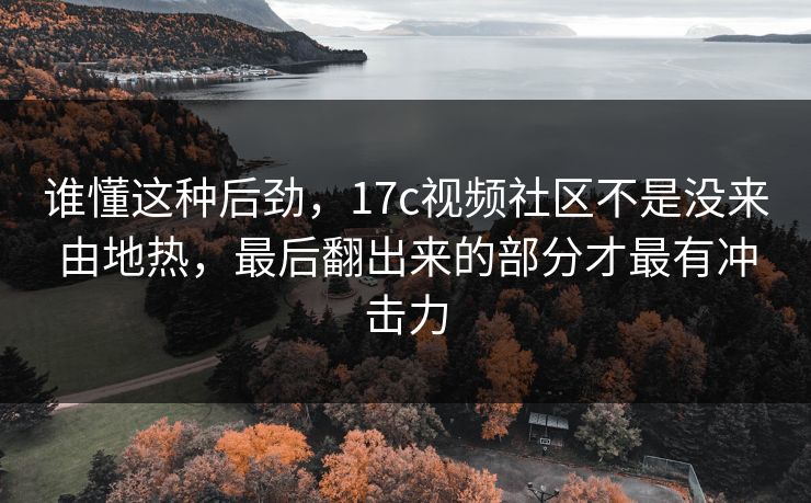谁懂这种后劲，17c视频社区不是没来由地热，最后翻出来的部分才最有冲击力