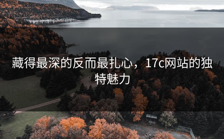 藏得最深的反而最扎心，17c网站的独特魅力
