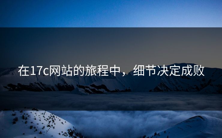在17c网站的旅程中，细节决定成败