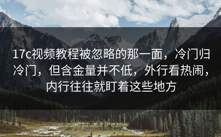 17c视频教程被忽略的那一面，冷门归冷门，但含金量并不低，外行看热闹，内行往往就盯着这些地方