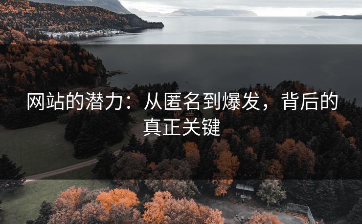 网站的潜力：从匿名到爆发，背后的真正关键