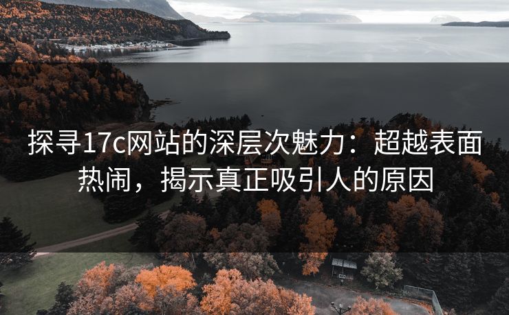 探寻17c网站的深层次魅力：超越表面热闹，揭示真正吸引人的原因
