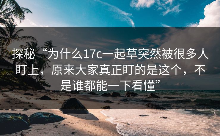 探秘“为什么17c一起草突然被很多人盯上，原来大家真正盯的是这个，不是谁都能一下看懂”
