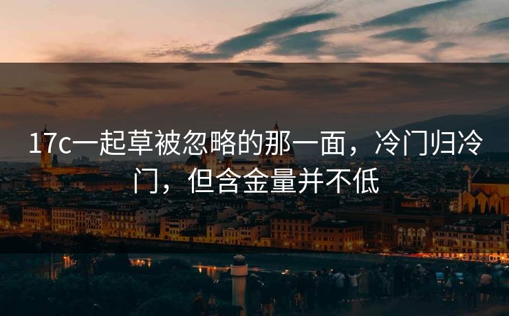 17c一起草被忽略的那一面，冷门归冷门，但含金量并不低