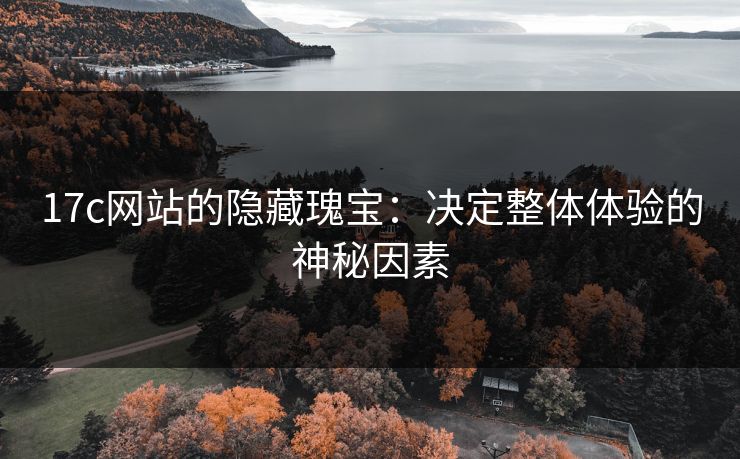 17c网站的隐藏瑰宝：决定整体体验的神秘因素
