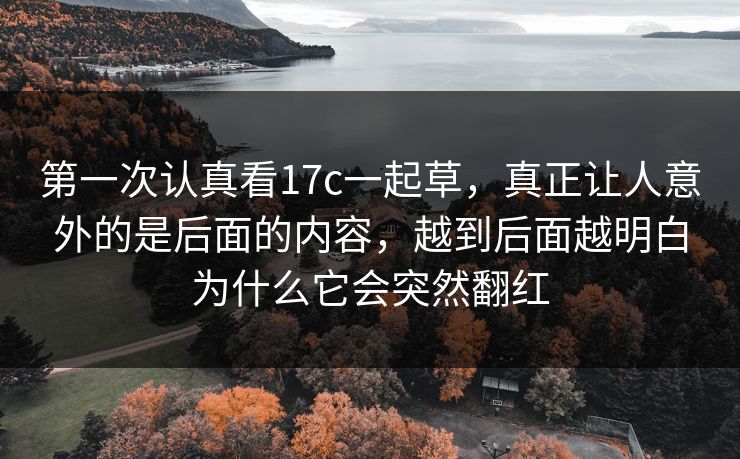 第一次认真看17c一起草，真正让人意外的是后面的内容，越到后面越明白为什么它会突然翻红
